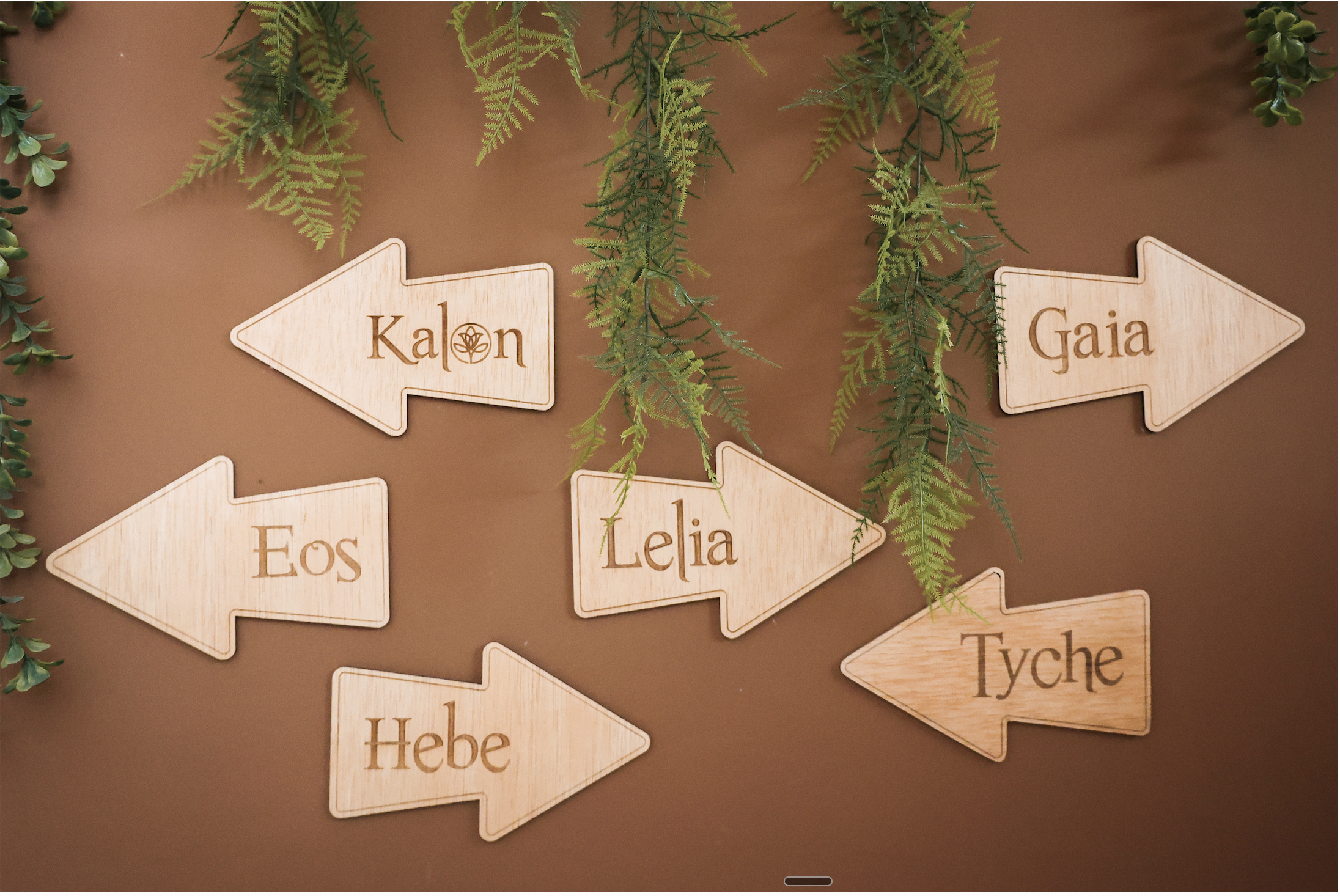 Diagrama de las salas del centro Kalon Estética